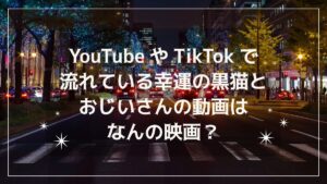 YouTubeやTikTokで流れている幸運の黒猫の動画はなんの映画？